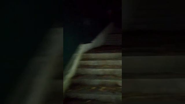 Дорога ночью в Отель Очарование моря.В Хосте смотреть онлайн