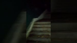 Дорога ночью в Отель Очарование моря.В Хосте