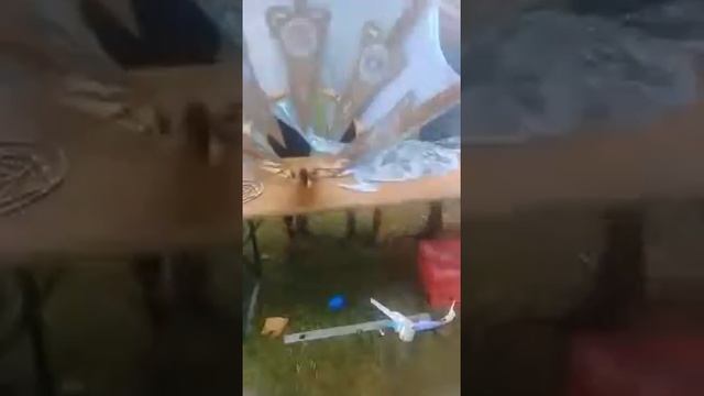 deco stage and canopy - shankra festival смотреть онлайн