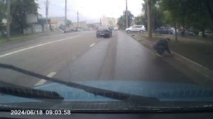 Утка с утятами перекрыли дорогу в центре города.