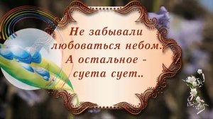 Стихи. Суета сует.