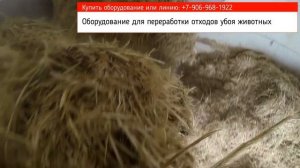 Переработка отходов убоя