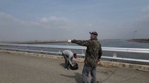 Весенние сазаны весь паук подъёмник согнули. День с подписчиками. Южная Корея  #fishing  #낚시