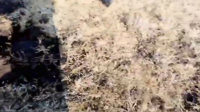 металлокоп||тх-850||1 час 98 кг||открытие сезона||