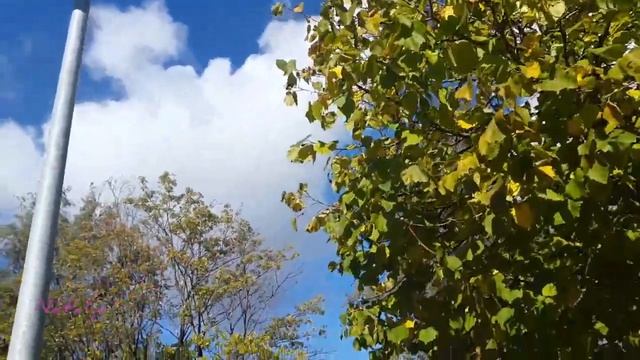 Я сегодня /Сильный стих/Стихи о жизни.