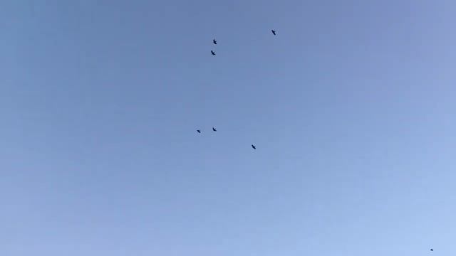 Лесные Вороны. Беларусь. Витебская область.