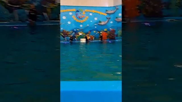 #алушта #крым #дельфины #дельфинарий Дельфины. Дельфинарий. Крым. Алушта. Поющие дельфины смотреть онлайн