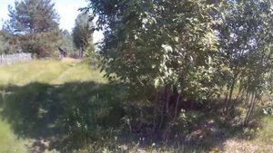 Рыбалка на Верхней Волге. рассказ о 7м дне отдыха в Тверской области. На Верхне-Волжских озерах.