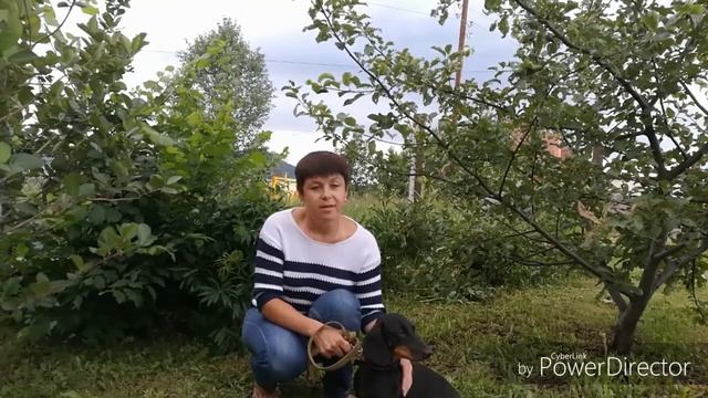 ВЯЗКА ТАКСЫ//НАСТУПИЛА ЛИ БЕРЕМЕННОСТЬ?// смотреть онлайн