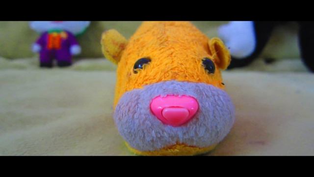 КАНАЛА СВИНКА БУЗЯ БОЛЬШЕ НЕТ ! Его ЗАБЛОКИРОВАЛИ!!! Свинки Бузи Больше НЕТ!!! Удалили Морская Вера смотреть онлайн