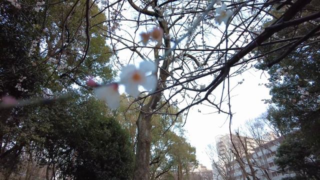 Tenemos que aclarar algo | Riken's Life смотреть онлайн