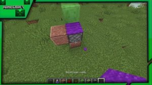 MINECRAFT  - САМЫЙ БЫСТРЫЙ ДЮП КОВРОВ 1.16.5