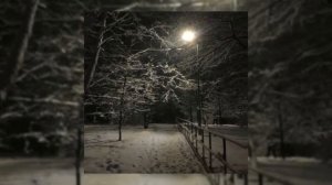 Нина Бродская-теряют люди друг друга(обычная скорость)