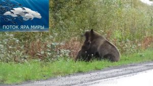 В ПОТОКЕ ЯРА МИРЫ ЧАС "Ч"