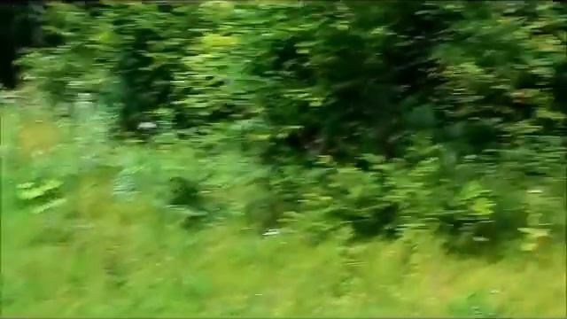 прогулка в заброшенный пансионат под рузой