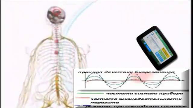 Принцип действия прибора Radiant Ultimate