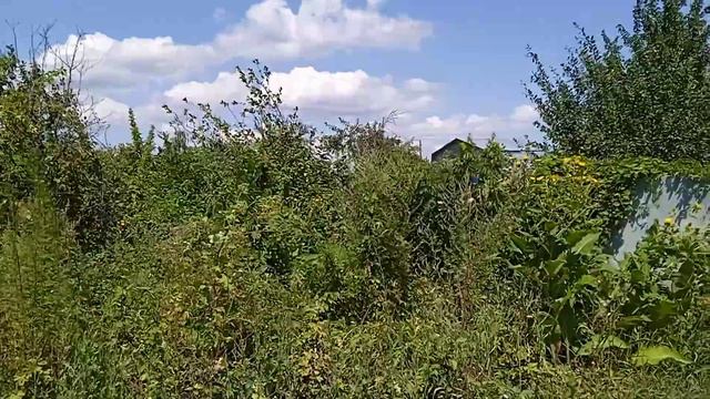 Просто пятница, какие планы, что происходит! смотреть онлайн