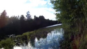 РЕКА МОРЬЕ. 2018. ПРИРОДА. РЫБАЛКА.