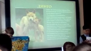 Проект по биологии 5 класс