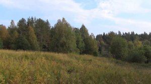 Шатозеро, Колошма. Черновик на память.