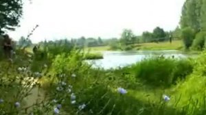 Вальс санатория Дорохово.avi