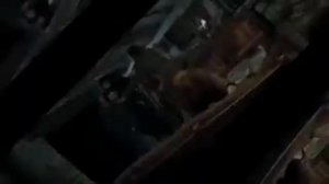 Римус Люпин эдит