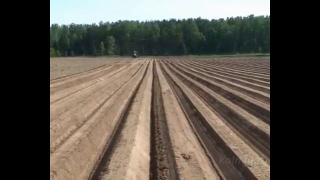 Культиватор - гребнеобразователь КГП - 4 с опцией укладчик ленты для капельного орошения.mp4