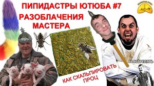 Мульт сериал - разоблачения мастера.   Пипидастры ютюба 7 серия...