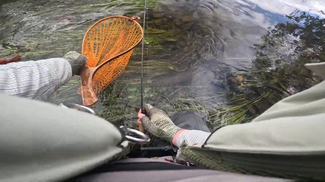 За пятнами #4. Форель катала ))) смотреть онлайн