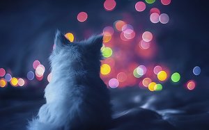 Добрый Субботний  Вечер!! Красивое Пожелание Доброго и Прекрасного Вечера!?