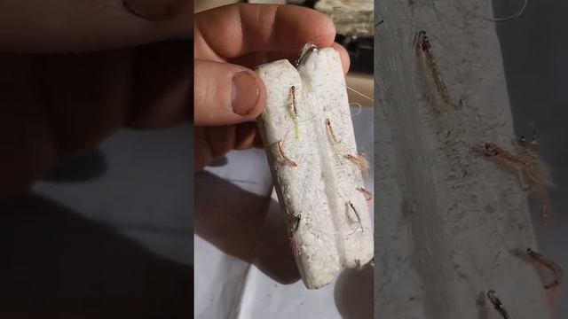 рабочий настрой на омуля рыбалка на байкале смотреть онлайн