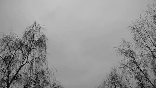 прогноз от 9 февраля на 10 02 23 - пасмурно и без осадков местами... смотреть онлайн