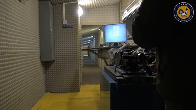 Пулевые патроны Диаболо Спин (40 м, балл. ствол, Diabolo Spin slug) смотреть онлайн