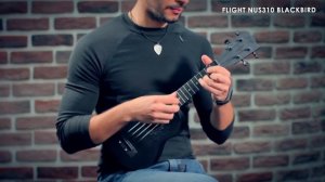 Ukelele NUS310 | Flight