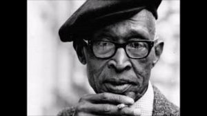 Pink Anderson-Baby Please Don't Go