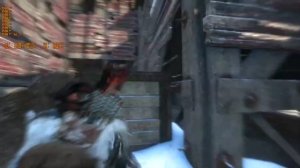 Игра Rise of the Tomb Raider. Тест видеокарты.