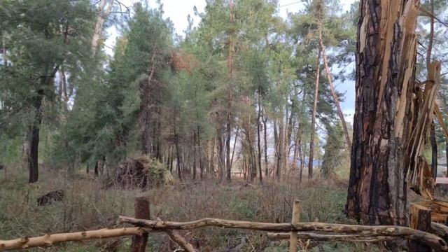 ПИЦУНДА 06.03.2022 | Прогулка по городу и морю смотреть онлайн