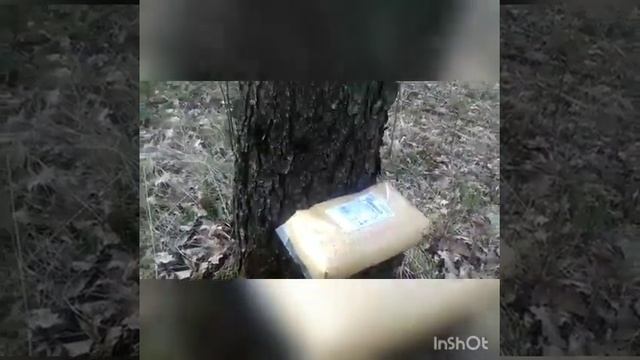 Почеп. Это помощь, или издевательство? Кто-то ответит за бестолковость? смотреть онлайн