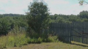 Жестылево водохранилище  Возле Дмитрова, Московская область