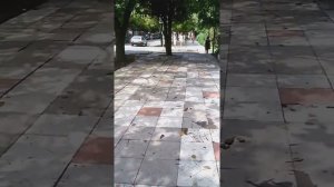 Лазаревское , Кольцевая 3. Дорога до моря.
