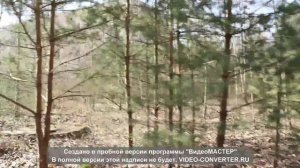 Фалькенберг Эльстер ( ГСВГ военный городок )2014г