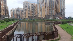 Пруд в Питере