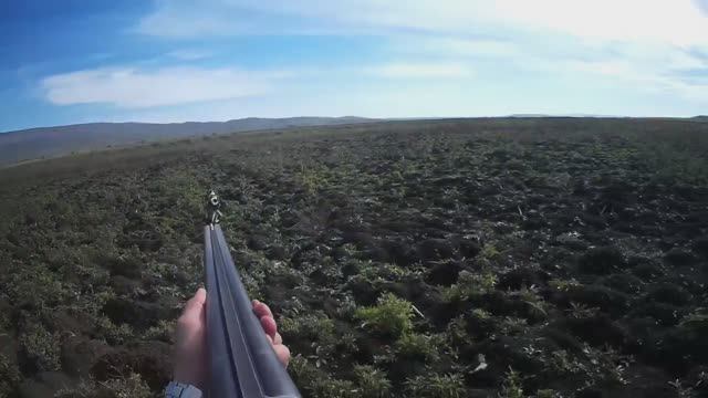 Зайчики под ногами! смотреть онлайн