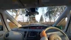 Тамыш Виладж