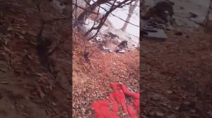 Очень крутой обрыв Пришёл посмотреть восход солца, увидал чей-то шалаш, и стену старого дома.