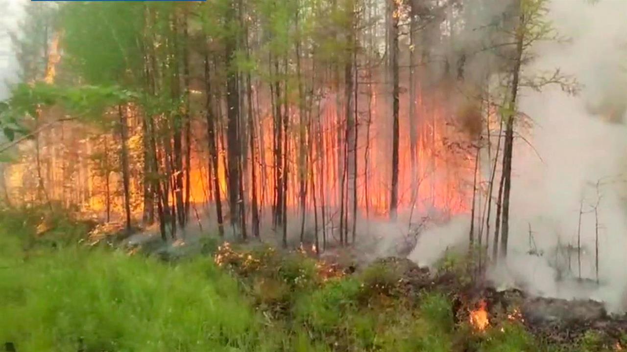 Авиалесоохрана наращивает силы для борьбы с природными пожарами на Дальнем Востоке