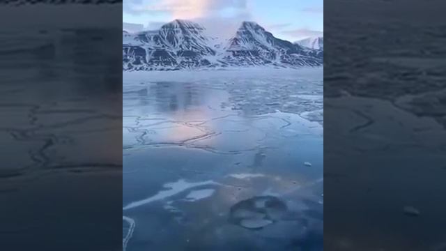 ЛЁД/ЧЕЛОВЕК МОРЖ/НЕ ЗАМЁРЗ ВО ЛЬДУ