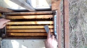 Стоит ли ставить на зиму магазин с мёдом?!!! 15.03.2021