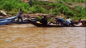 Как рыбаки реки Меконг поймали в сети рекордный экземпляр гигантского сома (Pangasianodon gigas) ?