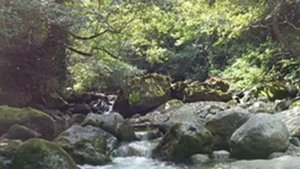 10 часов шума горной реки | Успокаивающие звуки природы | Звук воды для сна и расслабления | Сон